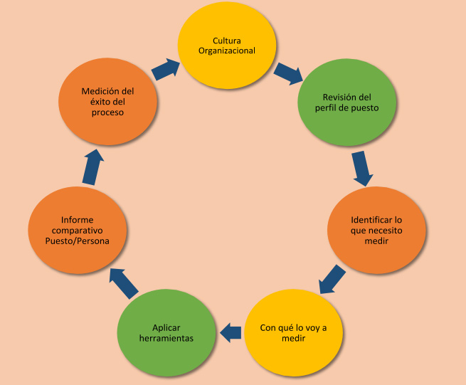 Proceso de evaluación sugerido